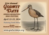 Godwit Days Registration Now Open