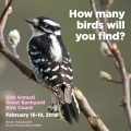 The Great Backyard Bird Count