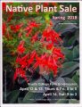 California Native Plant Sale