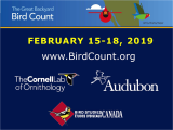 21st Annual Great Backyard Bird Count